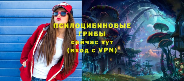 крисы Алексин